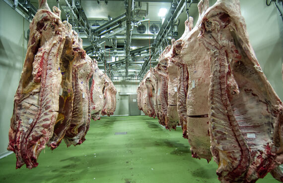 博多和牛ランクの見方について福岡のMeat  Plusが解説します！