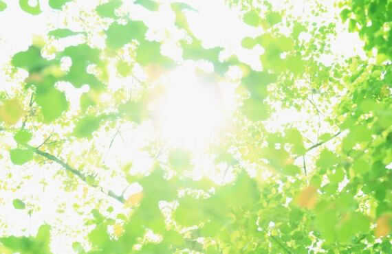 希少部位の大量注文も！九州名物馬刺しの全国配送承ります！福岡のミートプラスにお任せください！